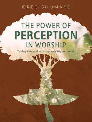 cover image of The Power of Perception